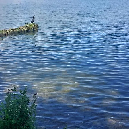 Mieszkanie 3 Pokojowe Na * Giżycko